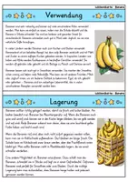 Vorschau - Bildkarten - Banane - Wissenskartei - Obst - Seite 3