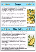 Vorschau - Bildkarten - Banane - Wissenskartei - Obst - Seite 2