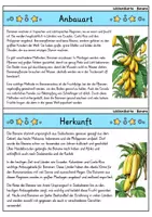 Vorschau - Bildkarten - Banane - Wissenskartei - Obst - Seite 1