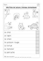 Aperçu - Feuilles d'exercices - Mini Piste de Lecture: Animaux domestiques - Page 1