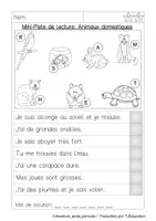 Aperçu - Feuilles d'exercices - Mini Piste de Lecture: Animaux domestiques - Page 2
