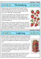 Vorschau - Bildkarten - Erdbeere - Wissenskartei - Obst - Seite 3