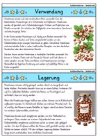 Vorschau - Bildkarten - Haselnuss - Wissenskartei - Obst - Seite 3