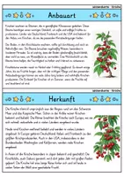 Vorschau - Bildkarten - Kirsche - Wissenskartei - Obst - Seite 1