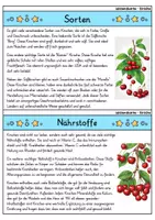 Vorschau - Bildkarten - Kirsche - Wissenskartei - Obst - Seite 2