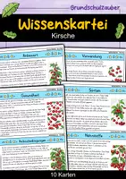 Vorschau - Bildkarten - Kirsche - Wissenskartei - Obst - Deckblatt