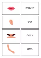 Vorschau - Spiele - First Words - English Flashcards BODY PARTS - Seite 2