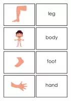 Vorschau - Spiele - First Words - English Flashcards BODY PARTS - Seite 3