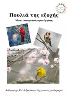 Προεπισκόπηση - Υποστηρικτικό υλικό / Ειδική αγωγή - πουλιά της εξοχής - μοντεσσοριανή προσέγγιση - Εξώφυλλο
