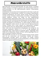 Vorschau - Arbeitsblätter - Nährstoffe Übersicht: Makronährstoffe, Mikronährstoffe, Funktionen - Seite 1
