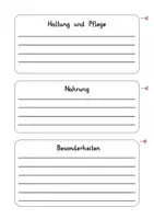 Vorschau - Arbeitsblätter - Haustiere / Tiere: Plakatgestaltung & Referat (Präsentation) - Sachunterricht / Deutsch - Kl. 3/4 - Seite 2