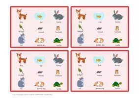 Aperçu - Apprentissages en autonomie - Vocabulary game: What's missing?? Pets - Page 2