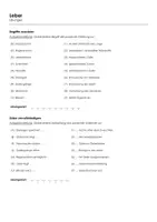 Vorschau - Arbeitsblätter - Leber (Informationstext und Übungen) - Seite 1