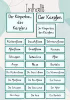 Vorschau - Präsentationen/Tafelbilder - Tafelbild: Der Körperbau des Karpfens/ eines Fisches - Seite 1