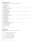 Vorschau - Arbeitsblätter - Pflanzenorgane (Informationstext und Übungen) - Seite 2