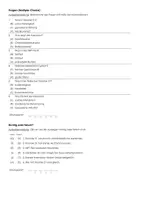 Vorschau - Arbeitsblätter - Trisomie 21 (Informationstext und Übungen) - Seite 2