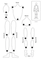 anteprima - Esercizi - La figura umana: Manichino del corpo ARTE - Pagina 1