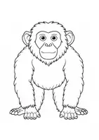 Vorschau - Arbeitsblätter - Ausmalbilder Thema Zootiere - Grundschule - Bastelvorlagen - Seite 3