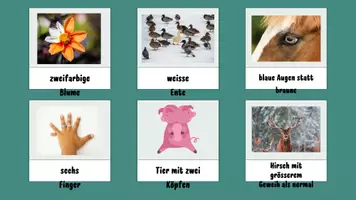 Vorschau - Stundenentwürfe - PPT & Stundenentwurf Mutationen & Albinismus inkl. Bildkarten "Mutationen" - Seite 3