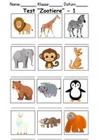 Vorschau - Arbeitsblätter - Test Zootiere - DaZ/DaF, Deutsch, Sachunterricht (Klasse 1 und 2) - Seite 1