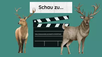 Vorschau - Stundenentwürfe - PPT & Stundenentwurf Sexuelle Selektion - Seite 1