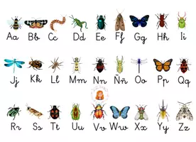Vista previa - Refuerzo / NEE / Materiales de apoyo - Código secreto insectos- palabra oculta (29 x 21 cm) (1) - página 2