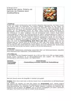Vorschau - Experimente - Schülerexperiment: Proteinausfällung - Deckblatt
