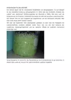 Vorschau - Experimente - Schülerexperiment: Proteinausfällung - Seite 1