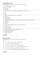 Vorschau - Arbeitsblätter - Das Weltreich von Karl V. - Infotext und Übungen - Seite 2