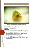 Vorschau - Experimente - Triopse im Klassenzimmer züchten - Deckblatt