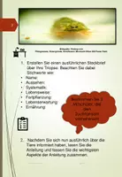 Vorschau - Experimente - Triopse im Klassenzimmer züchten - Seite 2