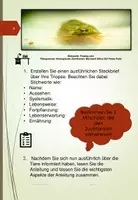 Vorschau - Experimente - Triopse im Klassenzimmer züchten - Seite 3