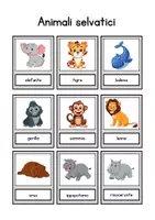 anteprima - Esercizi - Pack di risorse didattiche sugli animali - Pagina 1