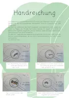 Vorschau - Arbeitsblätter - Sachunterricht - Marienkäfertagebuch - Seite 2