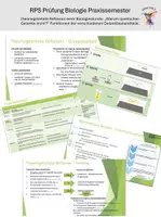 Vorschau - Stundenentwürfe - theoriegeleitete Reflexion einer Biologiestunde - Prüfung Praxissemester RPS - Deckblatt