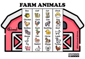 Vista previa - Manualidades / Dibujos para colorear - VOCABULARY – PACK OF 20 FLAP BOOKS IN ENGLISH - página 1