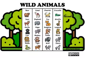 Aperçu - Affichage - WILD ANIMALS – Visual Dictionary (20 Words) - Page 1