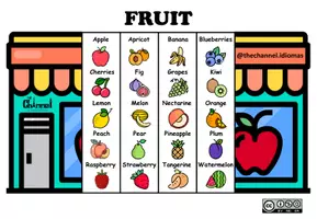 Aperçu - Matériel pour travaux manuels / dessin - FRUIT – Flap Book (20 words in English) - Page 1