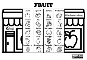 Aperçu - Matériel pour travaux manuels / dessin - FRUIT – Flap Book (20 words in English) - Page 2