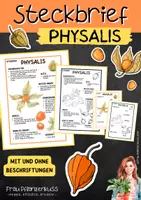 Vorschau - Arbeitsblätter - Steckbrief mit Beschriftungen Physalis Schulgarten, Biologie - Deckblatt
