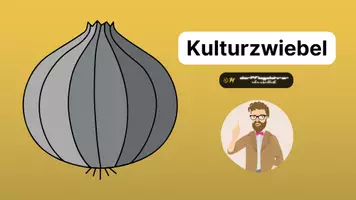 Vorschau - Stundenentwürfe - multikulturelle Pflege - Die Kulturzwiebel - Seite 1