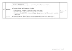 Aperçu - Préparation de séance / Séance complète - L'alimentation végétarienne à la cantine Cycle 3 - Page 3