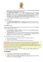 anteprima - Programmi scolastici / Materiali per docenti - Riassunti sul corpo umano - Pagina 3