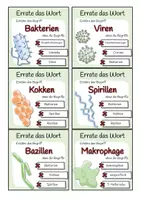 Vorschau - Spiele - Errate das Wort-Spiel - Immunsystem - Seite 1
