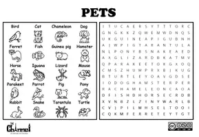 Vorschau - Arbeitsblätter - PETS – Word Search (20 Domestic Animals) - Seite 2