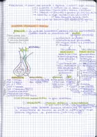 anteprima - Materiale di supporto/inclusione - Appunti sul Sitema Endocrino e l' Omeostasi - Pagina 2