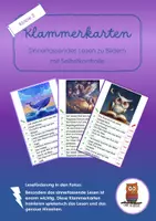Vorschau - Spiele - Klammerkarten - Leseverständnis ab 2. Klasse - Deckblatt