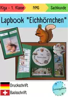 Vorschau - Arbeitsblätter - Lapbook für den Kindergarten: Das Eichhörnchen - Deckblatt