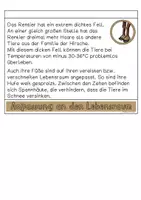 Vorschau - Arbeitsblätter - Das Rentier Flipbook - Seite 3