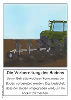 Vorschau - Poster - Differenziertes Tafelmaterial - Getreideanbau früher und heute - Seite 1
